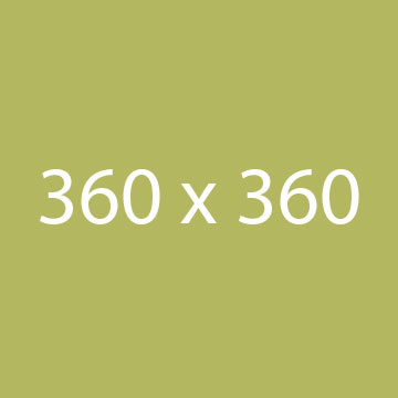 case study 1